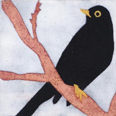 Blackbird (B02)