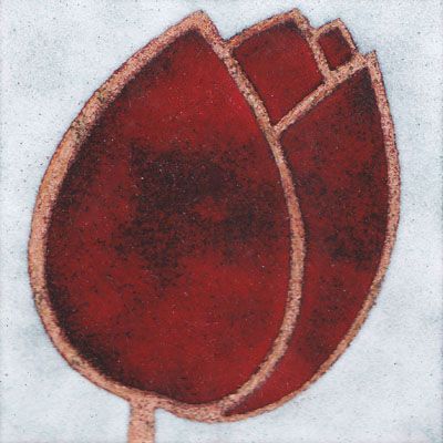 Tulip (B05)