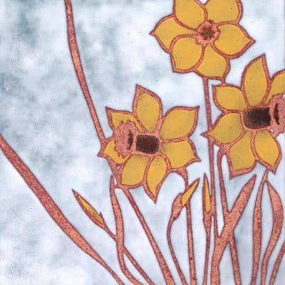 Daffodils (B12)