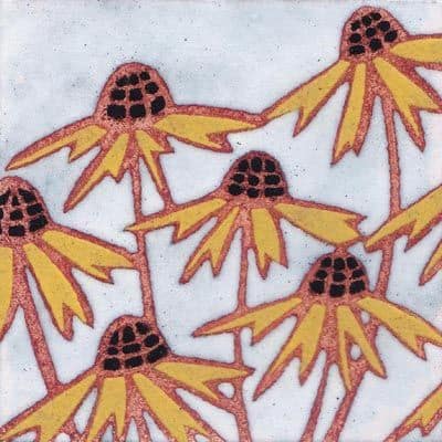 Black Eyed Susan (B14)