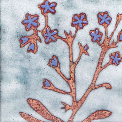 Forget Me Not (B15)
