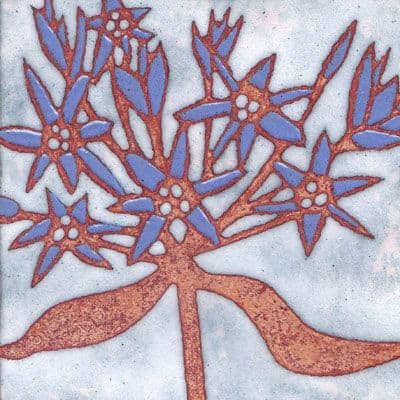 Agapanthus (B19)
