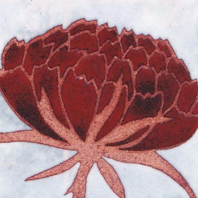 Peony (B25)