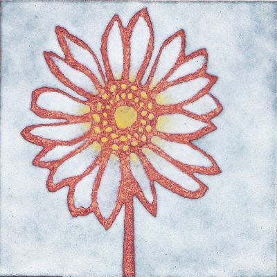 Daisy (B27)