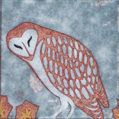 Barn Owl (B28)