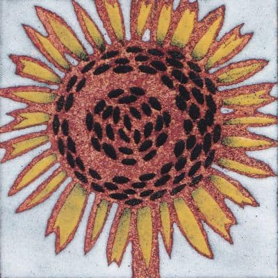 Sunflower (B33)