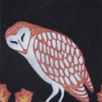 Barn Owl (B37)