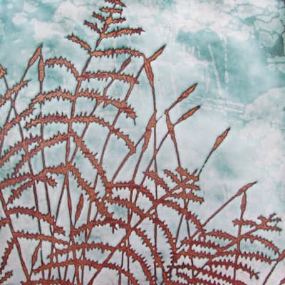 Ferns (C107)