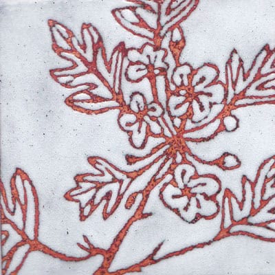 Hawthorn (C110)