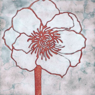 Amaryllis (C112)