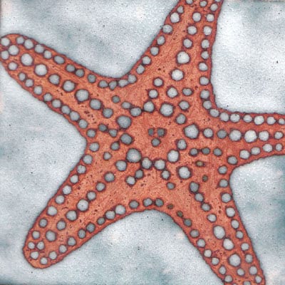 Starfish (C117)