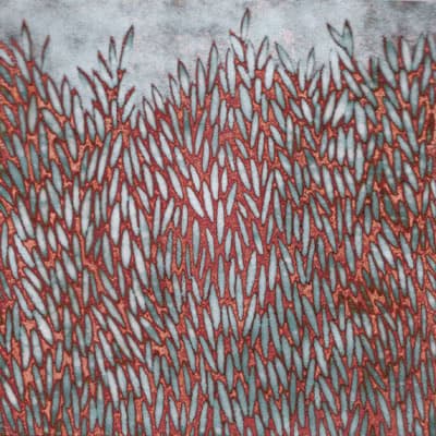 Grasses (C118)