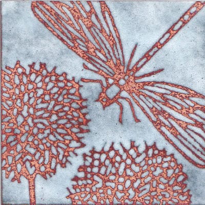 Damselfly (C119)