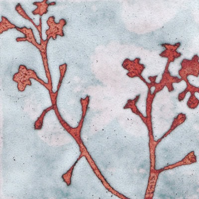 Forget Me Not (C126)
