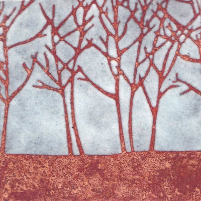 On the Edge of the Woods (C13)