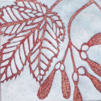 Sycamore (C130)