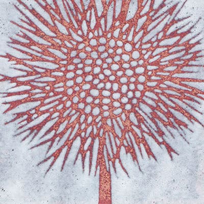 Sunflower (C136)