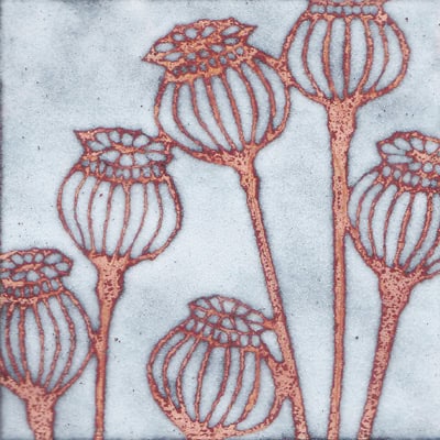 Poppy Seedheads (C145)