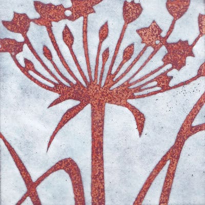 Agapanthus (C153)