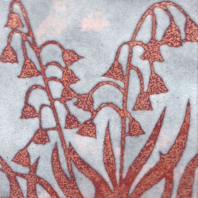Bluebells (C154)