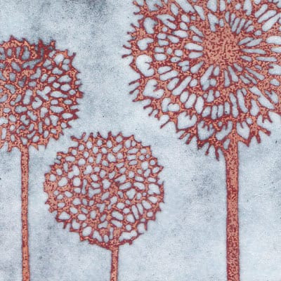 Three Seedheads (C159)