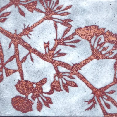 Cherry Blossom (C166)