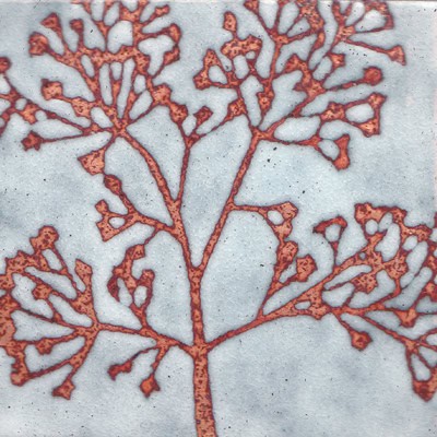 Wayside Flower (C168)