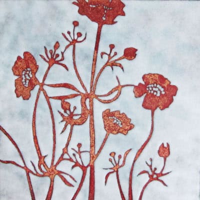 Buttercups (C170)