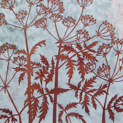 Hogweed (C176)