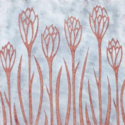 Crocus (C189)