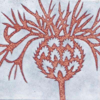 Thistle (C191)