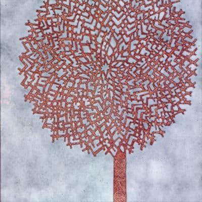 Seedhead (C203)