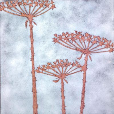 Three Seedheads (C204)