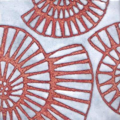 Ammonites (C214)