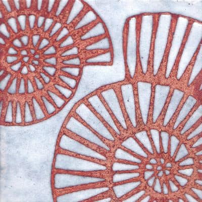 Ammonites (C215)