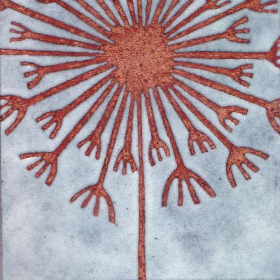 Seedhead (C224)
