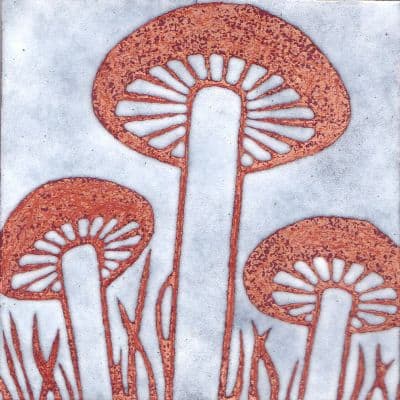Mushrooms (C245)