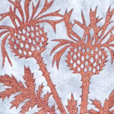 Thistles (C247)