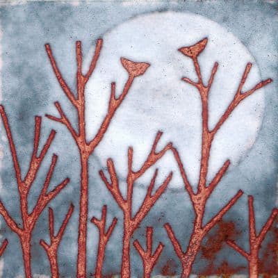 Moonlight (C251)