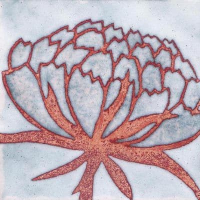 Peony (C262)