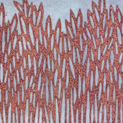 Grasses (C282)
