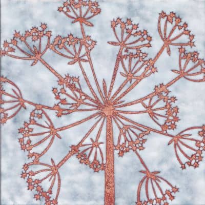 Hogweed (C289)