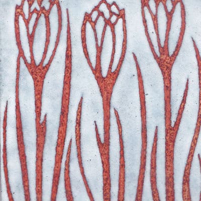 Crocuses (C29)