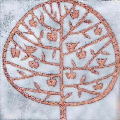 Apple Tree (C292)