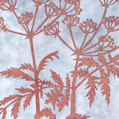 Cow Parsley (C316)