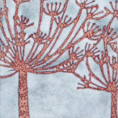 Cow Parsley (C34)
