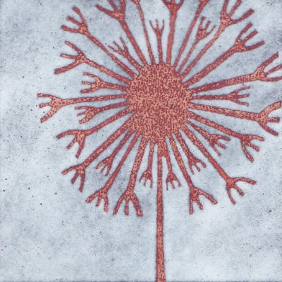Dandelion Clock (C36)