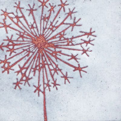 Dandelion Clock (C37)