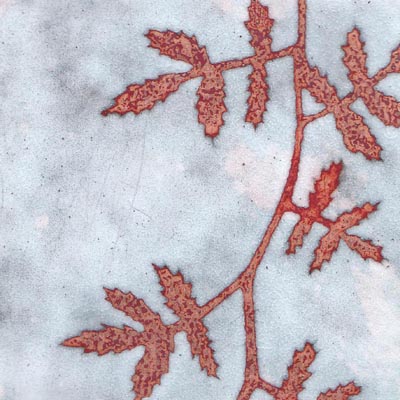 Leaves (C52)