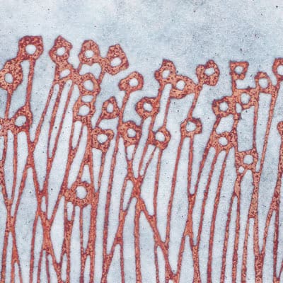 Little Flowers (C60)